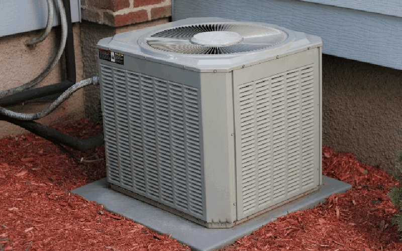5 Tips for Landscaping Around Your A/C Unit